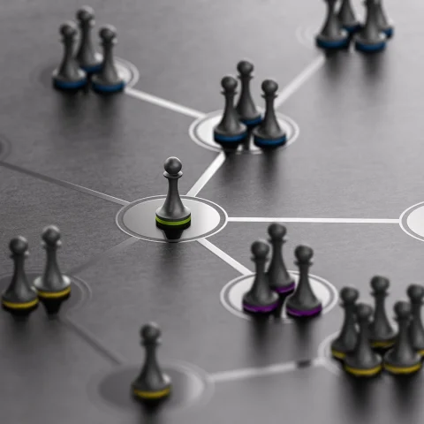 organization governance